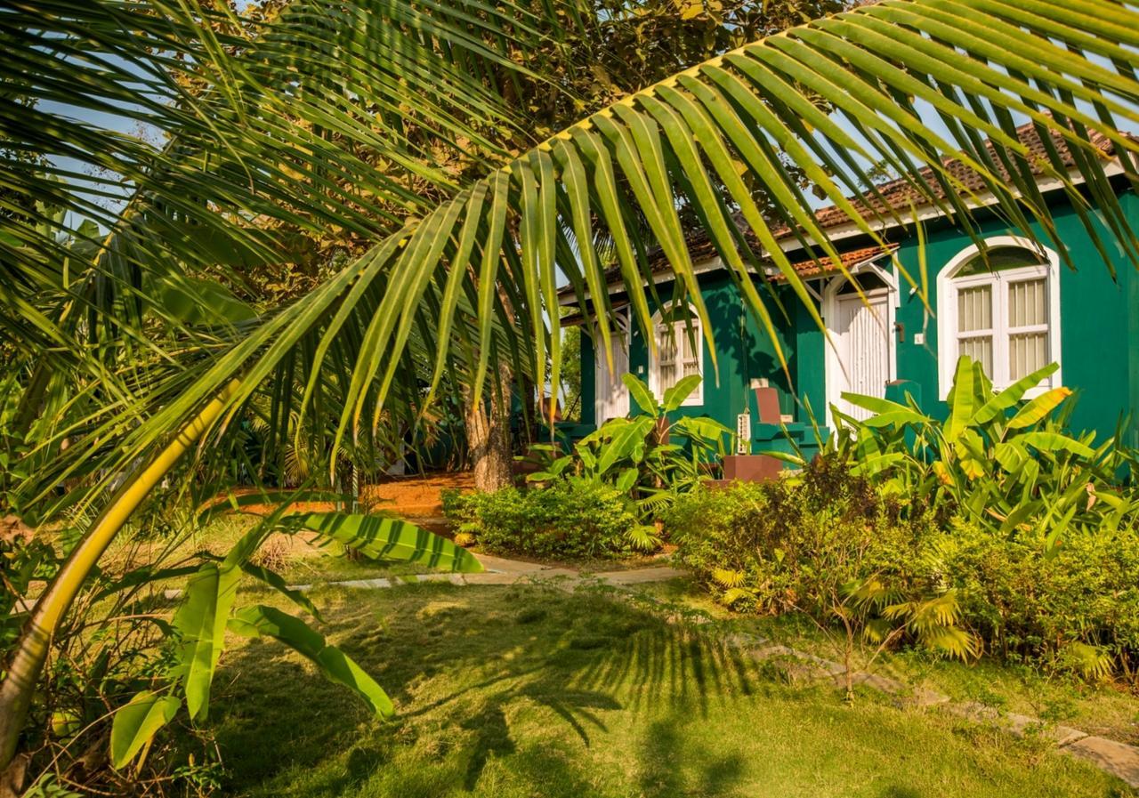 Aquatica Resorts & Spa Morjim Exterior foto